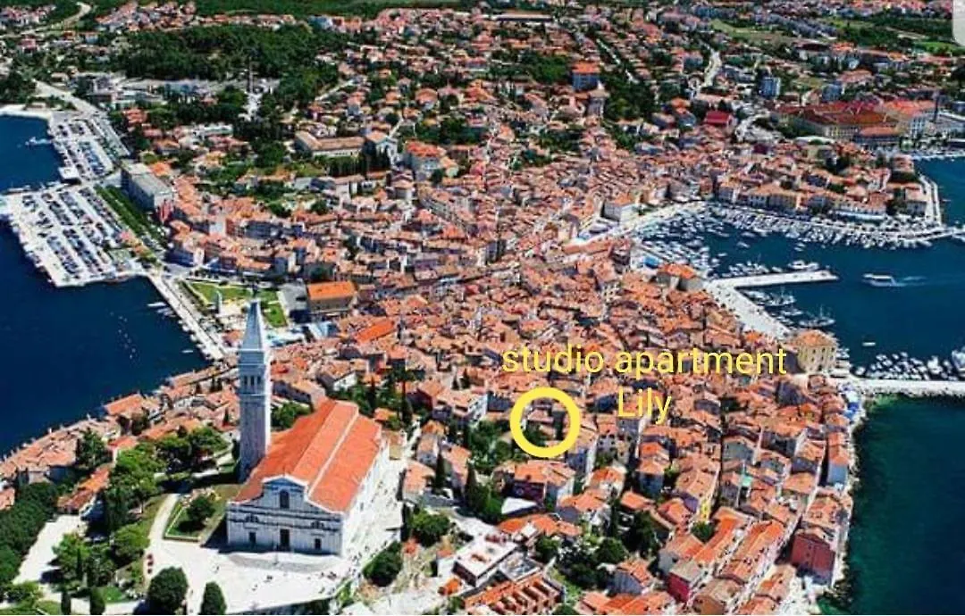 Studio Apartment Lily Ρόβινι 0*,  Κροατία